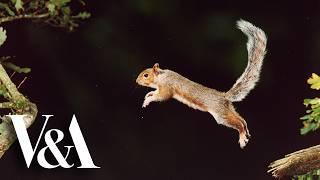 100 years of nature photography