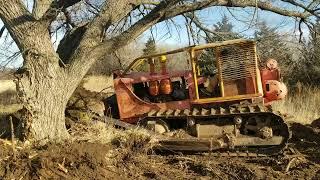 Allis Chalmers dozer takes down a massive tree.