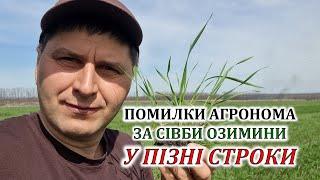 Помилки агронома за сівби озимини у пізні строки