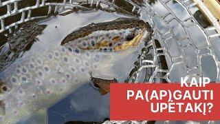 Upėtakių žvejyba pavasarį ARBA kaip pa(ap)gauti upėtakį / Trout fishing