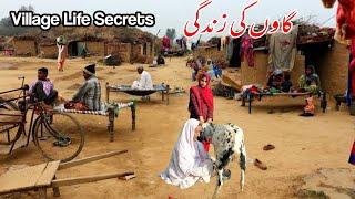 Village Life Pakistan Daily Work Routine 2021 | Rural Pakistan | Village Life in Pakistan