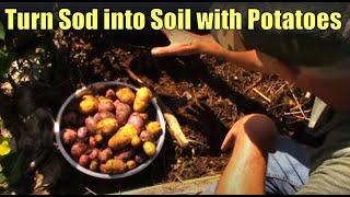 Make a New Garden The Easy Way: Grow Potatoes!