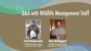 Living with Wildlife in Illinois Q&A