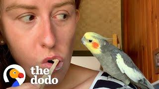 16-Year-Old Cockatiel Needs Emotional Support Mug | The Dodo