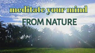 Meditate Your Mind From Nature