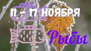 РЫБЫ️Неделя с 11 по17 ноября 2024 года.