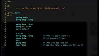 Hello World in NASM x86-64 Assembly