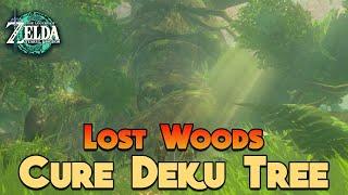 How to Navigate the Lost Woods and Cure the Deku Tree in Zelda: Tears of the Kingdom