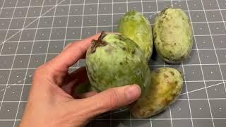 Pineapple Guava (Feijoa): 1st time trying