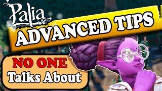 Advanced Tips in Palia - Best Time To Farm Renown & Best Farm Layout+Animation Canceling? [Outdated]