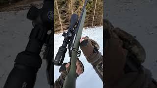 Ruger American 6.5 Creedmoor Shooting At Deer.