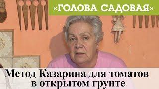 Голова садовая - Метод Казарина для томатов в открытом грунте