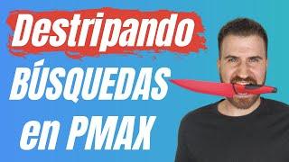 Máximo DETALLE en Performance Max  Términos de Búsqueda