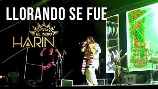 Harin El Indio | Llorando Se Fue (CONCIERTOS POR EL MUNDO)