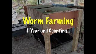 Worm Farming: 1 Year Later
