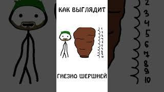 А вы знаете, как выглядит гнездо Шершней #shorts #шортс #животные #шершень  #авызналиэто