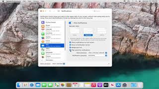 How to Disable - Enable Sound Alert on Every New Incoming Email on macOS [Tutorial]