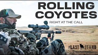 Rolling Coyotes at the Call in South Dakota! | The Last Stand S5:E2