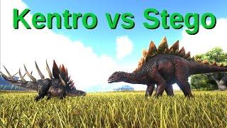 Kentrosaurus VS Stegosaurus || Kentro stronger than Stego?! - ARK: Survival Evolved