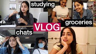 Study Sessions, Thai Food, Groceries & Chats | VLOG