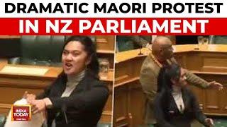 Dramatic Maori Protest In New Zealand Parliament | Youngest MP Leads Haka Performance | India Today