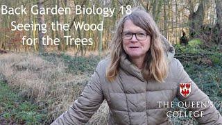 Seeing the Wood for the Trees | Back Garden Biology 18 with Dr Lindsay Turnbull