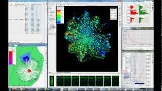 Streamlines visualization in tNavigator from Rock Flow Dynamics