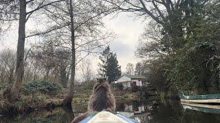 Caturday Kayaking with Louis – A Magical Encounter with a Kingfisher!   