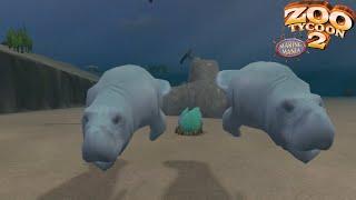 West Indian Manatee Gameplay Zoo Tycoon 2 Marine Mania