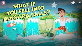 What If You Fall into Niagara Falls? | Niagara Waterfall | The Dr Binocs Show | Peekaboo Kidz