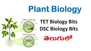 plant biology||science ||science important 40 bits ||tet 2024