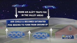 Weather Wednesdays: Fog Season