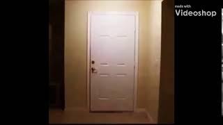 Big Bird knocks down door!! (MEME!!)