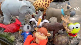 Toy Zoo Wild Animals Toys Collection in the Outdoors