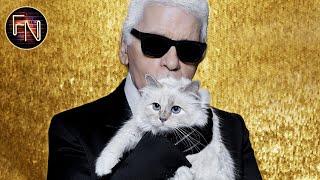 Karl Lagerfeld - Wird das Kätzchen Choupette sein Vermögen erben?