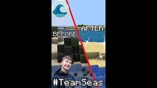 Cleaning Up The Ocean! #teamseas