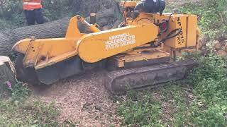 Carlton SP7015TRX tracked stump grinder.