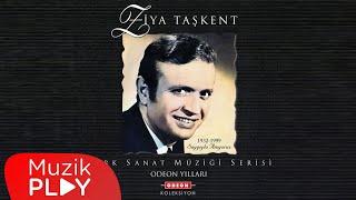 Bilmem Anlıyor Musun -  Ziya Taşkent (Official Audio)