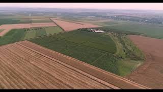 Agriculture Aerial View (Gherman Village, Moldova)