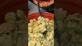 Creamy White Sauce Pasta #shorts #javeriahukkawala #short