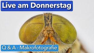 Live am Donnerstag - Q & A Makrofotografie