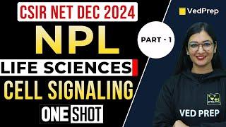 Cell Signaling CSIR NET One Shot  | CSIR NET DEC 2024 Life Sciences | NET Premiere League | Part-1