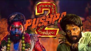 Pushpa 2 Full dubbed movie in hindi | Pushpa 2 Movie explain in hindi |Allu arjun | Pushpa 2