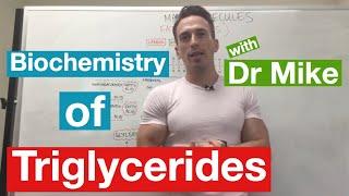 Fatty Acids, Glycerol, and Lipids | Biochemistry