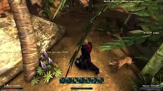 Let's Play Gothic 2 New Balance #057 Das Piratenlager