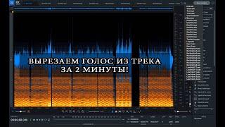 Как быстро вырезать вокал из песни или где найти акапеллу?