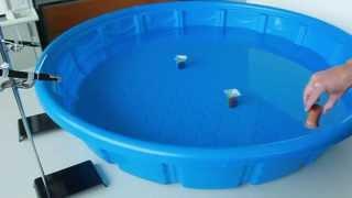 Biomimetic Antenna Wave Pool Model