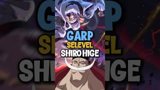 Bukti Garp Selevel Dengan Shirohige  #reviewanime #onepiece