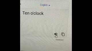 FUNNY GOOGLE TRANSLATE ENGLISH TO CHINESE LION S*&T