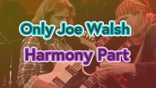 Hotel Carifornia / EAGLES guitar solo backing track with Joe Walsh harmony part